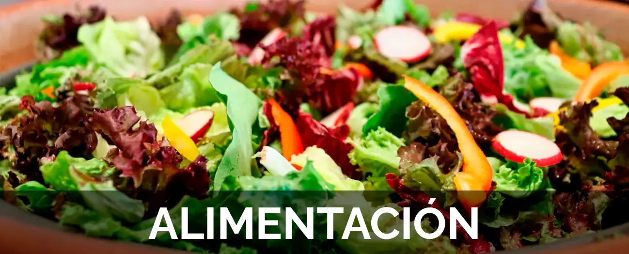 ALIMENTACIÓN