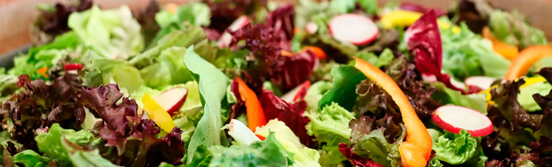 Alimentación