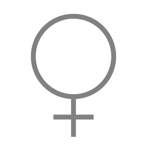 icono-feminista
