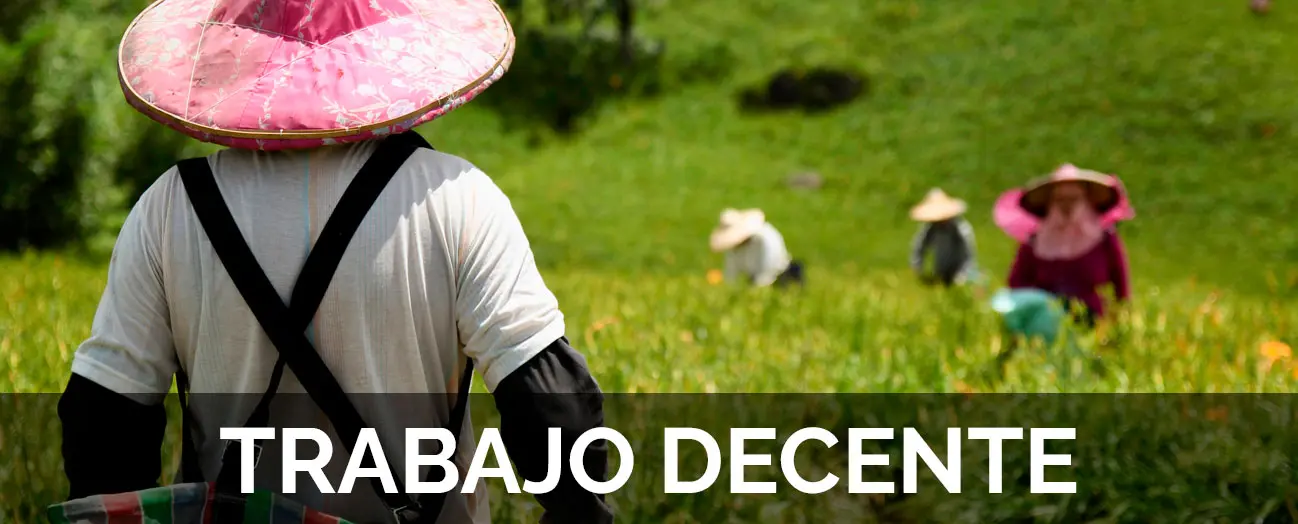 TRABAJO DECENTE Y CAMBIO CLIMÁTICO